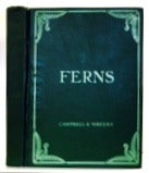 Item #13100 Ferns: A Manual for the Northeastern States. Campbell E. Waters