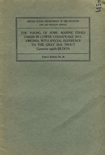 Item #13845 The Young of Some Marine Fishes Taken in Lower Chesapeake Bay Virginia With Special Reference to the Gray Sea Trout Cynoscion Regalis (Bloch). Pearson John C.