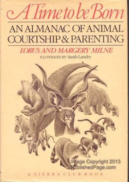 Item #17456 A Time to be Born: An Almanac of Animal Courtship & Parenting. Milne Lorus, Margery Milne.