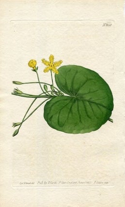 Item #19374 Original Hand Colored Print No. 658; Menyanthes Indica, or Indian Buck-Bean. William...