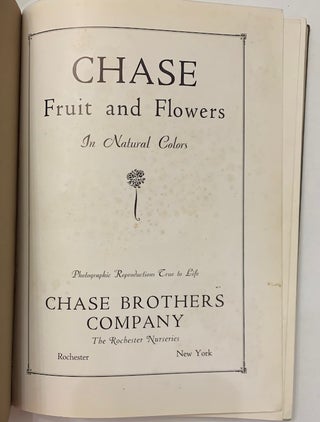 Chase Fruit and Flowers in Natural Color