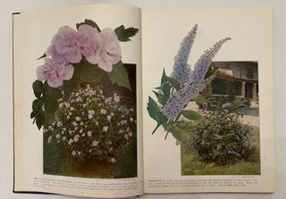 Chase Fruit and Flowers in Natural Color