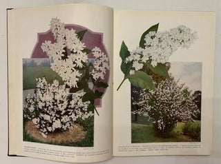 Chase Fruit and Flowers in Natural Color