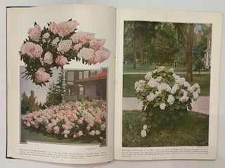 Chase Fruit and Flowers in Natural Color