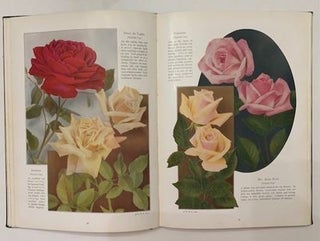Chase Fruit and Flowers in Natural Color