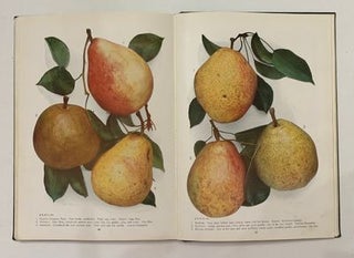Chase Fruit and Flowers in Natural Color