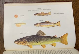 The Compleat Brown Trout: A Special Centennial Edition