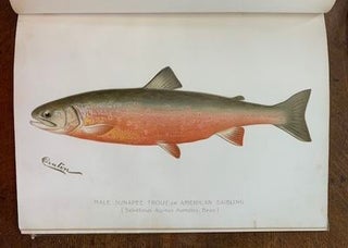 Second Annual Report of the Commissioners of Fisheries, Game and Forests