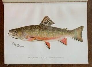 Second Annual Report of the Commissioners of Fisheries, Game and Forests