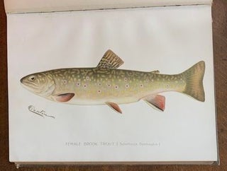 Second Annual Report of the Commissioners of Fisheries, Game and Forests