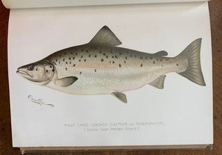 Second Annual Report of the Commissioners of Fisheries, Game and Forests