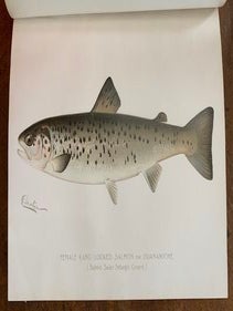 Second Annual Report of the Commissioners of Fisheries, Game and Forests
