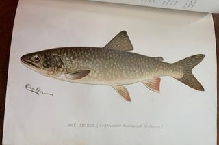 Second Annual Report of the Commissioners of Fisheries, Game and Forests