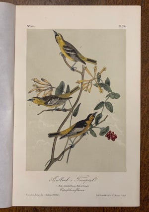 Bullock's Troopial: Plate #218 from Birds of America. John J. Audubon.